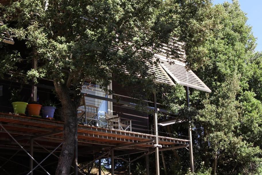 Li Pireddi Villa Aglientu Buitenkant foto