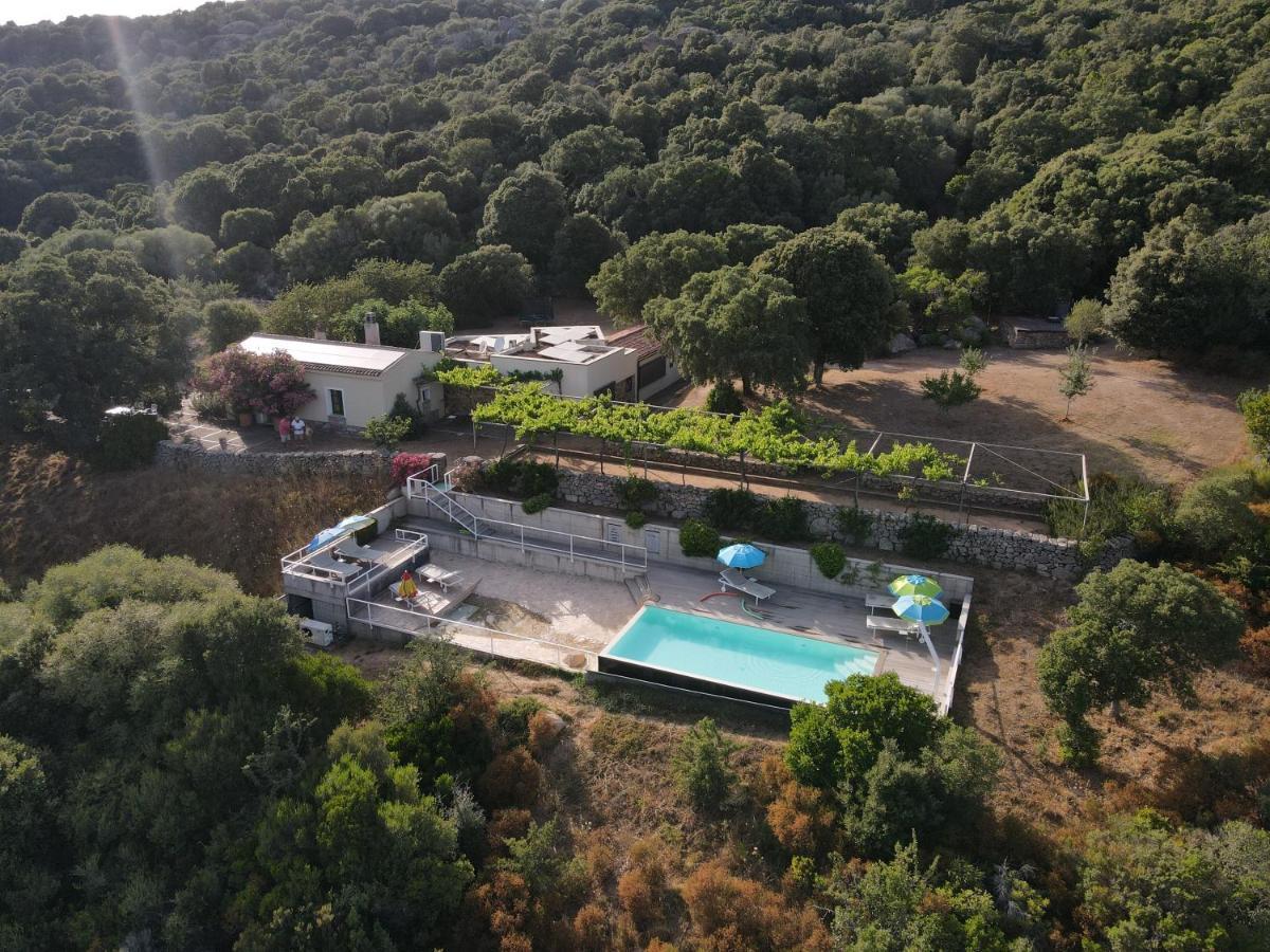 Li Pireddi Villa Aglientu Buitenkant foto